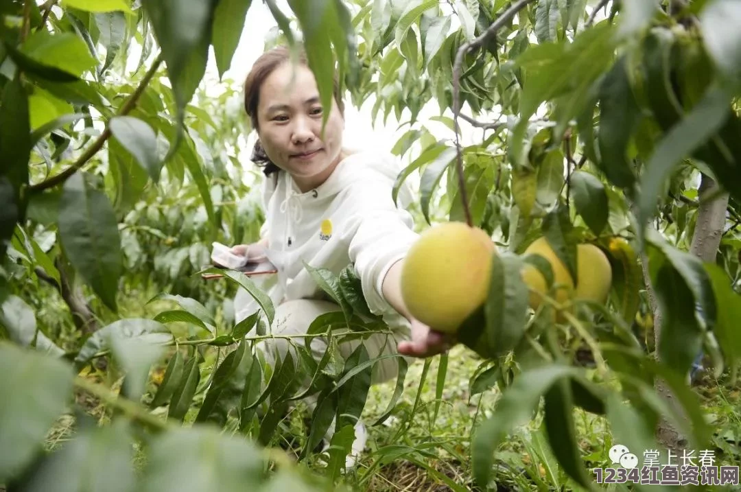 隐身在课堂里所以为桃子移植拔萝卜黄降9.1：探索武打片的魅力，影视和小说交汇的刺激评价