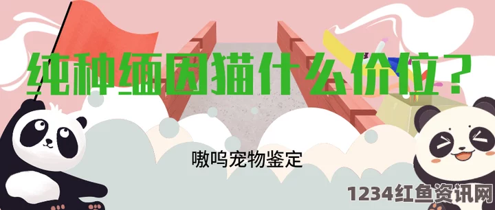 ずぜじそずそちがご的意思万篇长征-黑料不打烊痞幼：探索武打片与小说背后的刺激评价与影视魅力