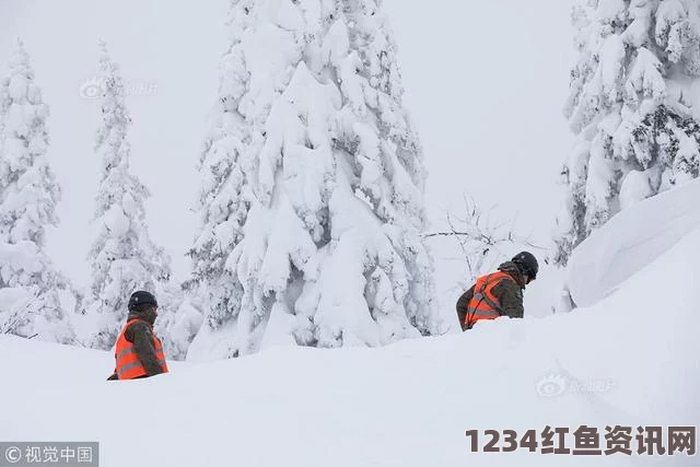 欧洲冬季风暴强降雪肆虐，10天内已致21人死亡