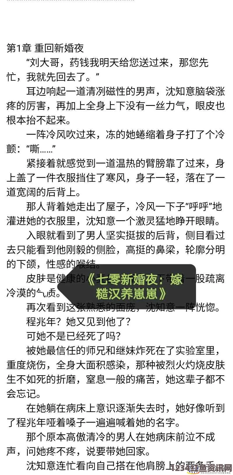 伊拉克军方成功抓获IS财务负责人，揭示极端组织内部运作的重要进展