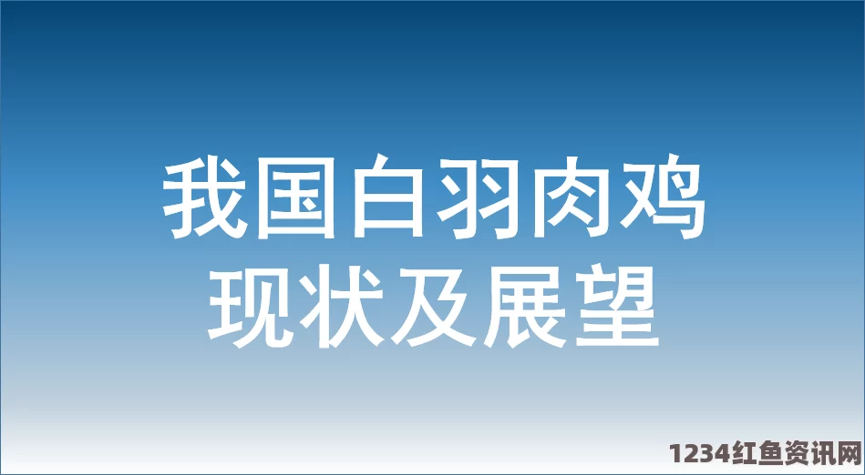 甘雨开胸襟澎湃十大禁止安装应用入口：揭秘背后的风险与挑战，探索科技发展中的暗面与机遇