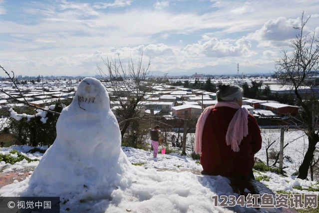 智利首都遭遇数十年来最大降雪 民众堆起雪人，享受罕见冬日奇景