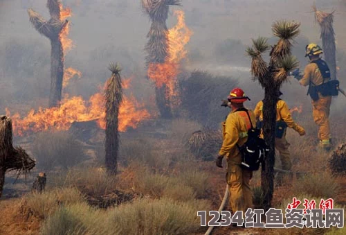 破纪录高温酿灾情 美西部多州山火肆虐数千人撤离