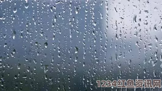 雨一直下，日本暴雨天气致多家大型企业停运