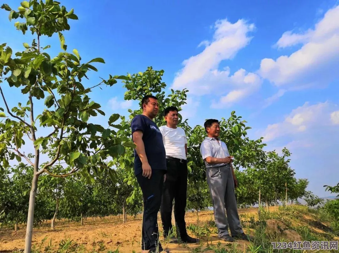 王者荣耀游戏玩家必备，战报查看详细指南