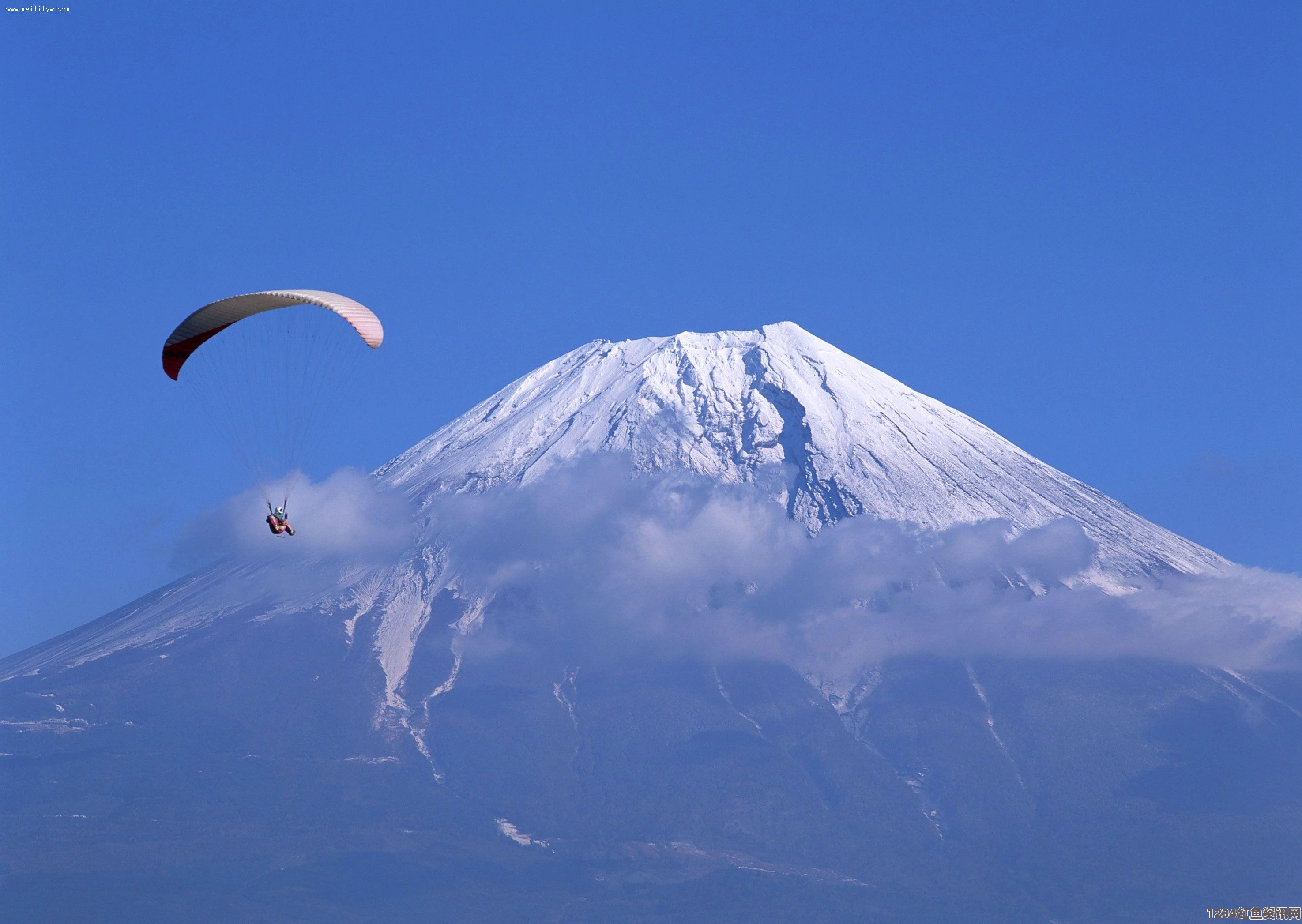 日本入境审查贴纸换新颜，富士山与樱花共绘欢迎之章