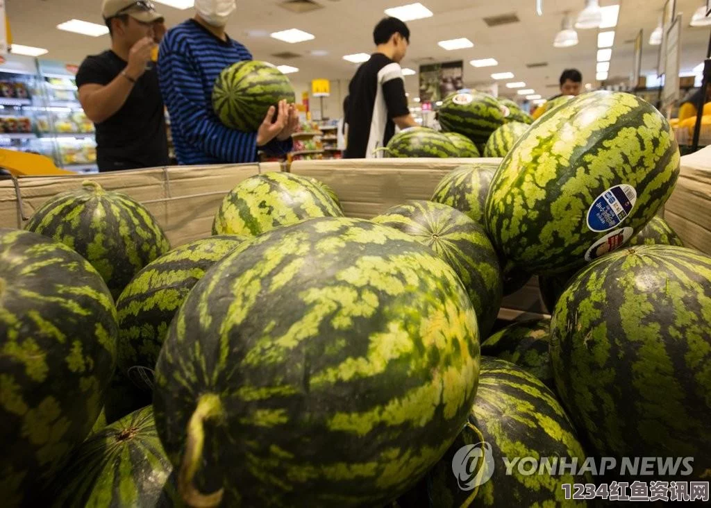 水果价格飙升，韩国西瓜售价达惊人水平，民众面临吃不起困境