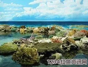 澳大利亚大堡礁的经济价值及其影响，超越42亿美元的生态旅游支柱与就业引擎