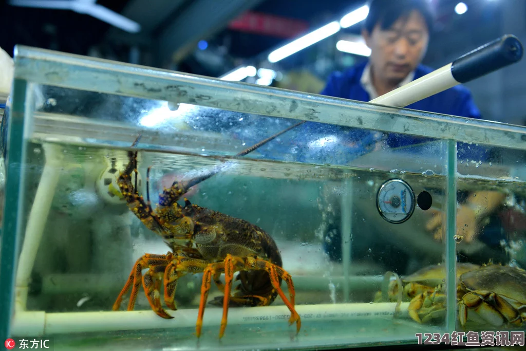 布拉特连任后公开批评美国司法制度，普京的回应与全球视角