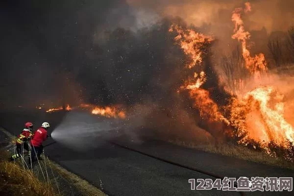 葡萄牙森林大火引发灾难，全国紧急应对致62人死亡及多人受伤事件