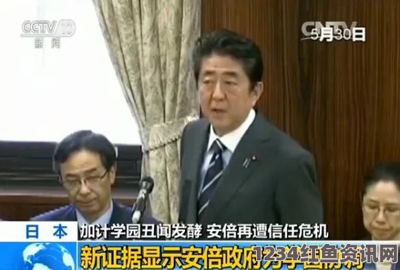 安倍办学丑闻二次调查揭秘，加计文件证实存在——探究背后的真相与影响