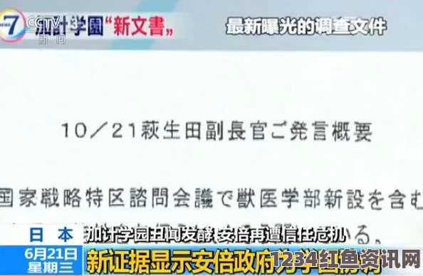 安倍办学丑闻二次调查揭秘，加计文件证实存在——探究背后的真相与影响