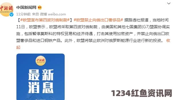 欧洲议会代表谈英国与欧盟关系，平等合作，不再享有特权