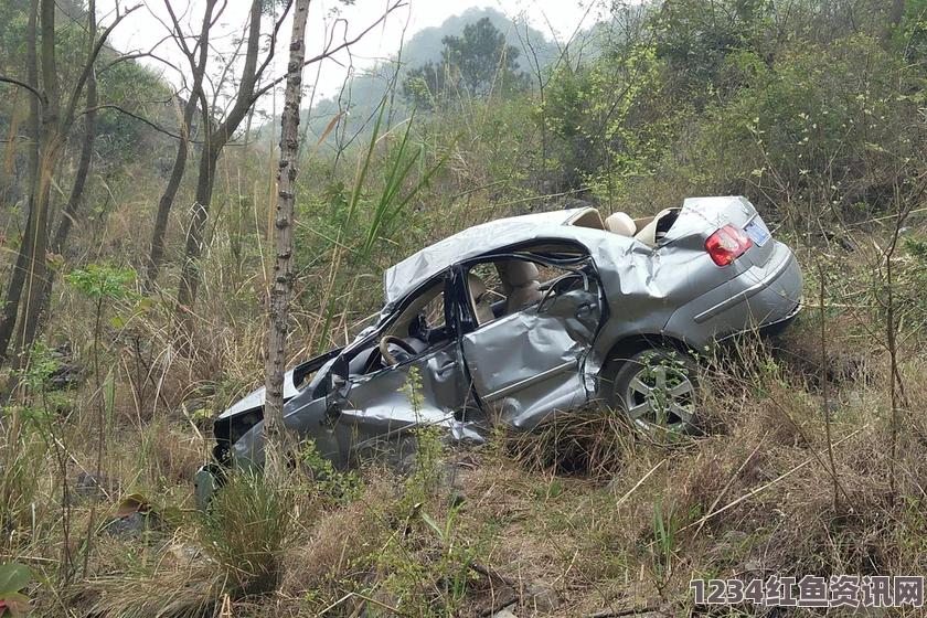 广西扶贫小组下乡途中遭遇车祸，轿车坠崖致2死——事故现场纪实