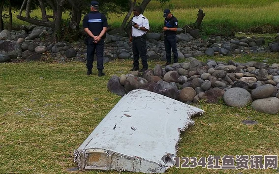 法属留尼汪岛海岸再现疑似MH370碎片，探寻失联客机的最后线索