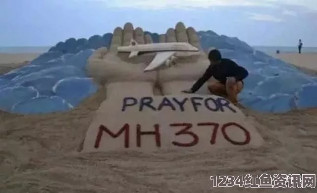 马航MH370失踪两周年，回顾与前瞻——残骸确认后的搜寻新动向