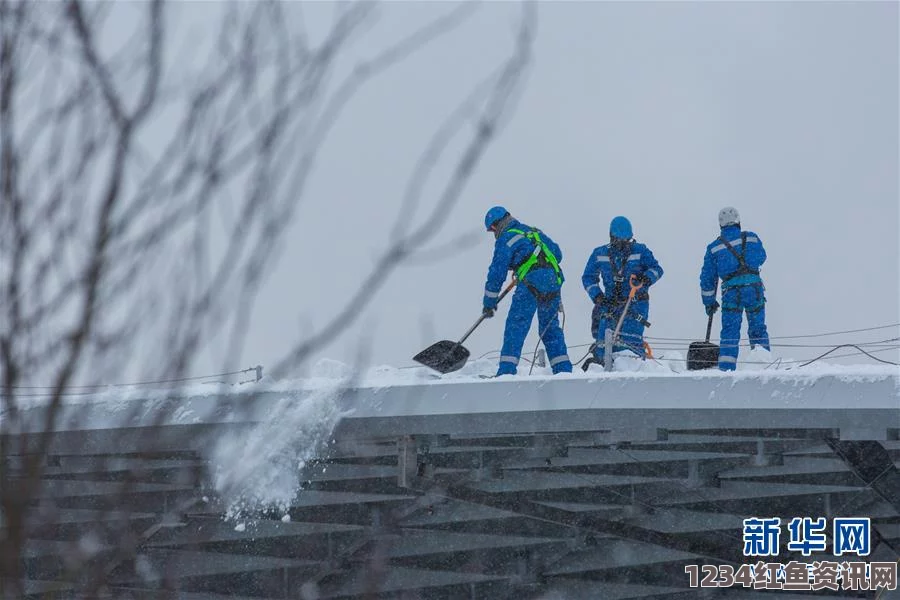 莫斯科遭遇八十年以来最大暴雪，挑战与应对