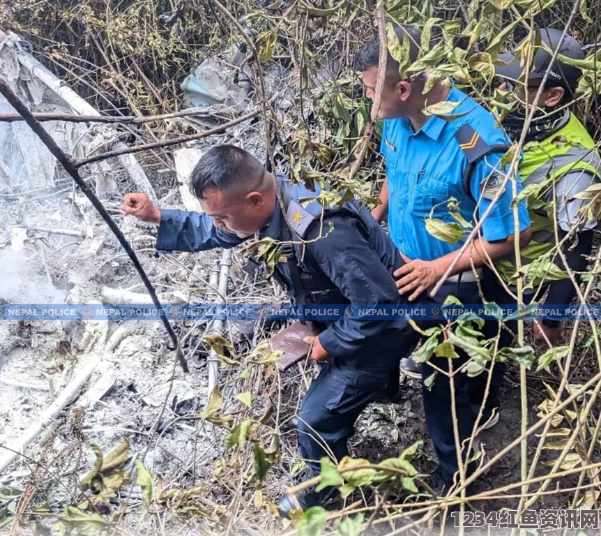 尼泊尔山区失踪一架载有21人小型飞机，含一名中国公民，搜救进行中