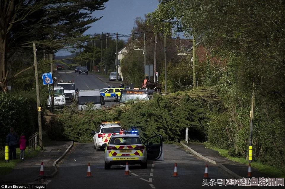 英国天气预报员直播身体不适，紧急时刻展现专业素养风采