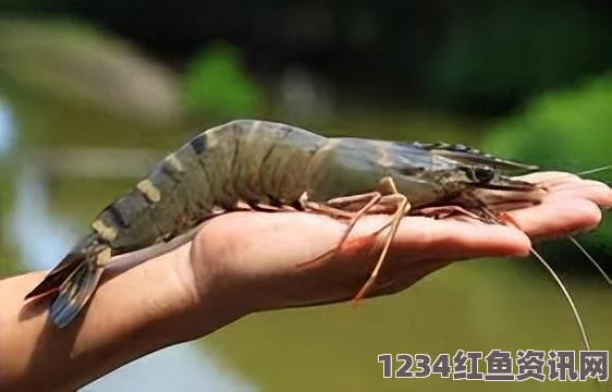 泰国天然湖泊巨型鲤鱼的奥秘，重达百斤以上的壮丽景象（组图）