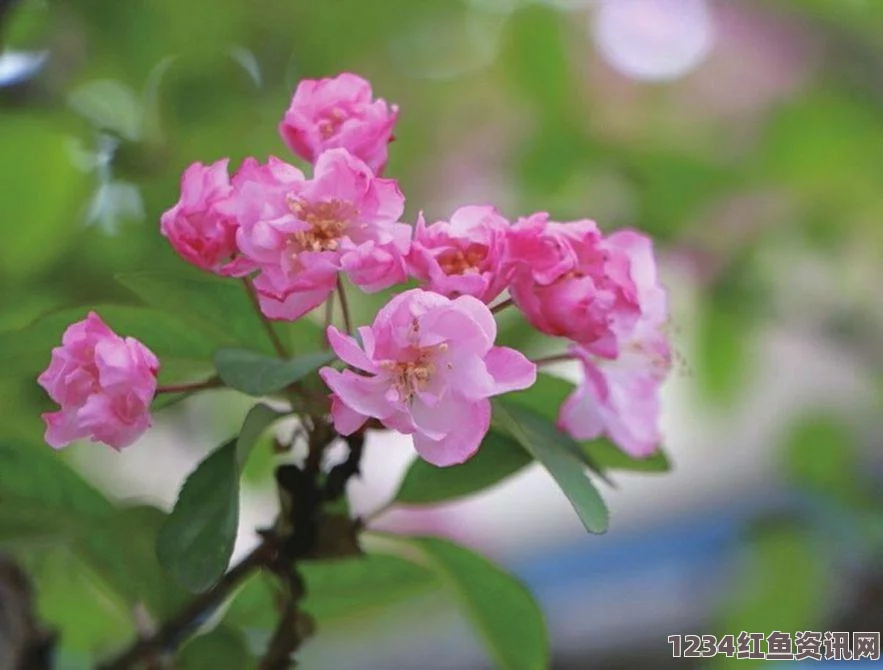 阴阳师手游，樱花妖与桃花妖的深度对比与选择指南