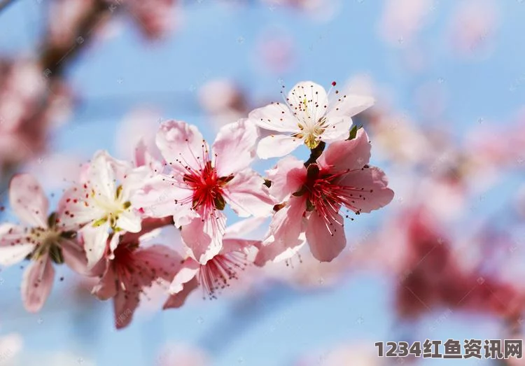 阴阳师手游，樱花妖与桃花妖全面对比及选择指南