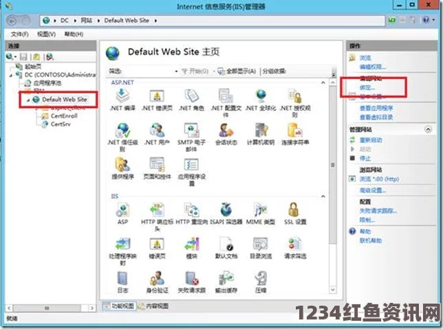 日本Windows Server 9：探索高效能与创新技术的激情画面，带你领略服务器管理的新境界