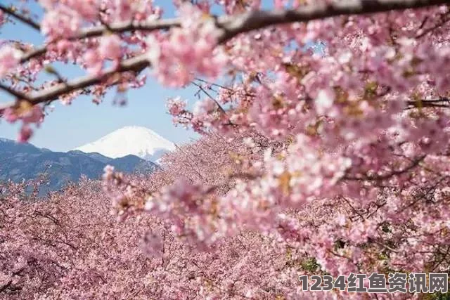 17.c-起草樱花校园怀孕日常ID：探索青春与责任交织的激情画面，感受成长带来的微妙变化