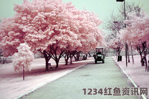 17.c-起草樱花校园怀孕日常ID：探索青春与责任交织的激情画面，感受成长带来的微妙变化