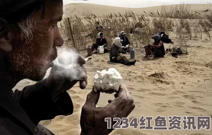 美国老人沙漠绝境求生，一周雪水罐头生存记