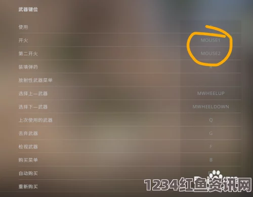 CSGO国服操作指南与按键操作说明