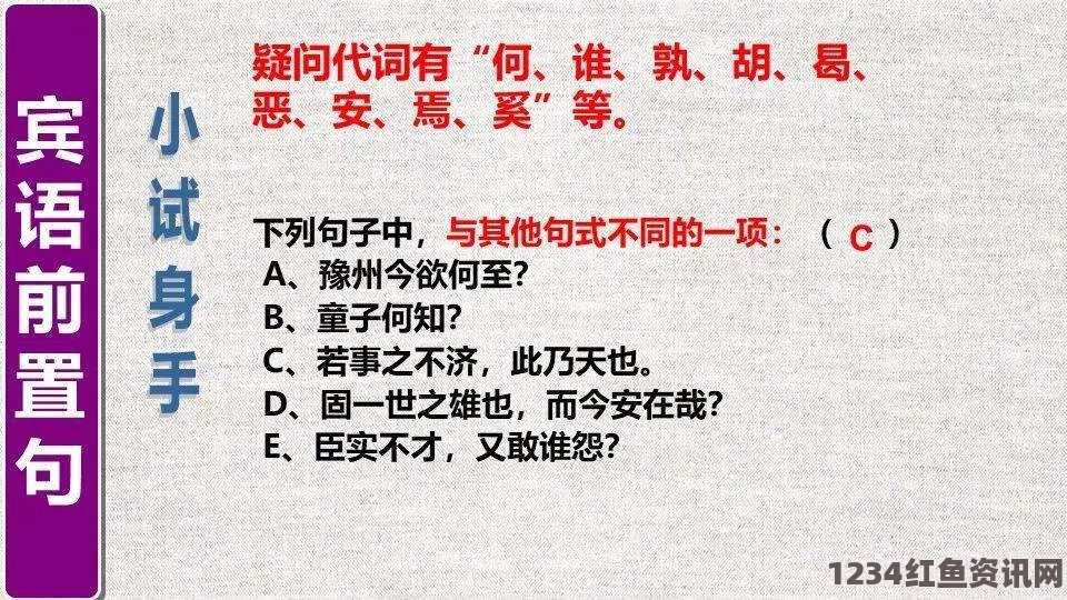 老徐帮小雅排毒精品国产一二三区别9977：探索激情画面，评析其独特魅力与文化内涵，引人入胜的视觉盛宴。