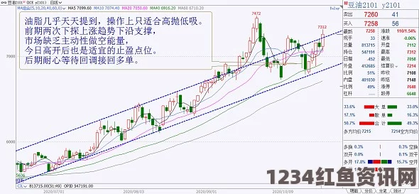 法国大规模游行抗议政府延长紧急状态计划