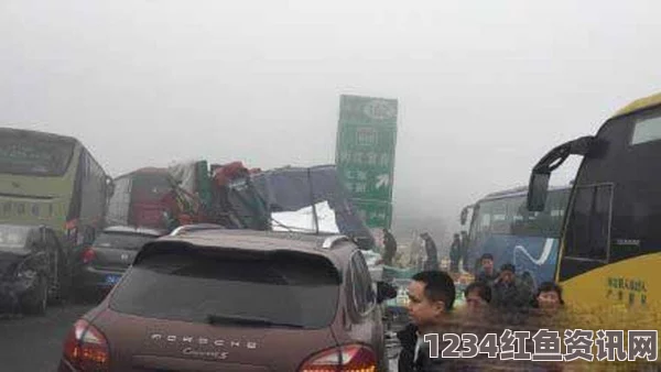 斯洛文尼亚大雾引发高速公路连环车祸，至少70辆车相撞致5人死亡标题