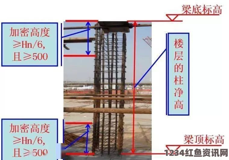 欧洲出现寨卡病例，世卫组织计划召开会议商讨应对策略（背景及图）