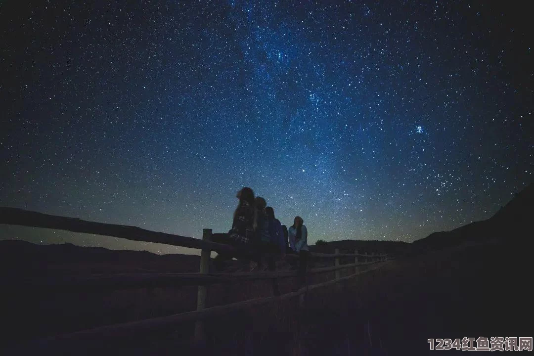 星空无痕mv免费观看外国缅甸杀人网站：影视探索中的武打片与刺激评价的交织