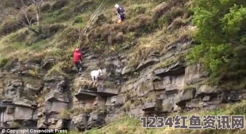 英峡谷传出神秘哭声，直升机搜救揭示真相——原来是山羊的叫声（附图）