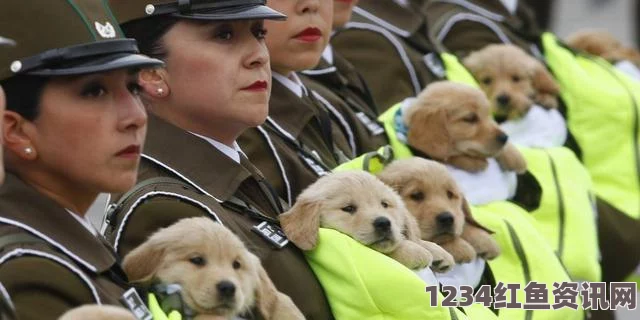 印度共和国日阅兵现场精彩瞬间高清组图，军犬骆驼展现独特风采