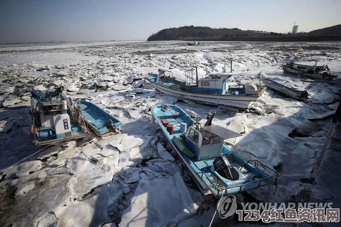 韩国遭遇极端寒流袭击，汉江结冰形成独特景象