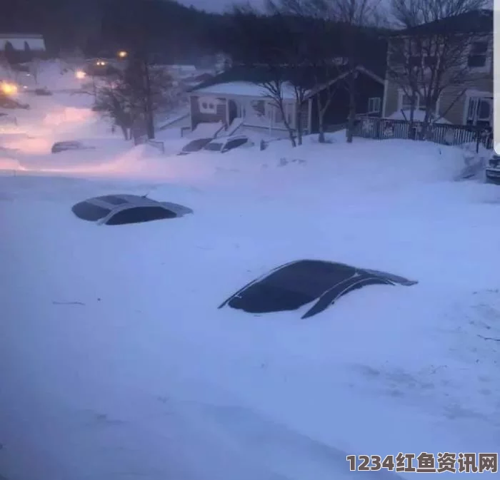 史上最强暴风雪肆虐美国，怪兽级灾难造成多人死伤及巨大经济损失