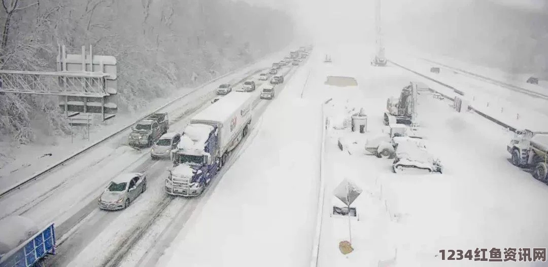 美国遭遇史上最强暴风雪，多人死伤及巨大经济损失引发怪兽级灾难警告