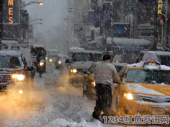 美国特大暴风雪引发严重灾情，纽约紧急禁行，灾难背后的故事与反思