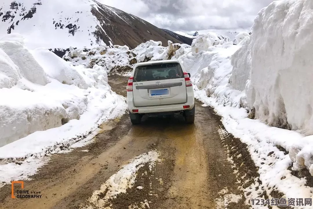 美国男童迷你推土机铲雪，萌娃铲雪助力邻里冬日暖心行动（附图）