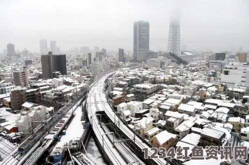 日本遭遇罕见强降雪，多地雪厚破纪录，超200人受伤（附图）