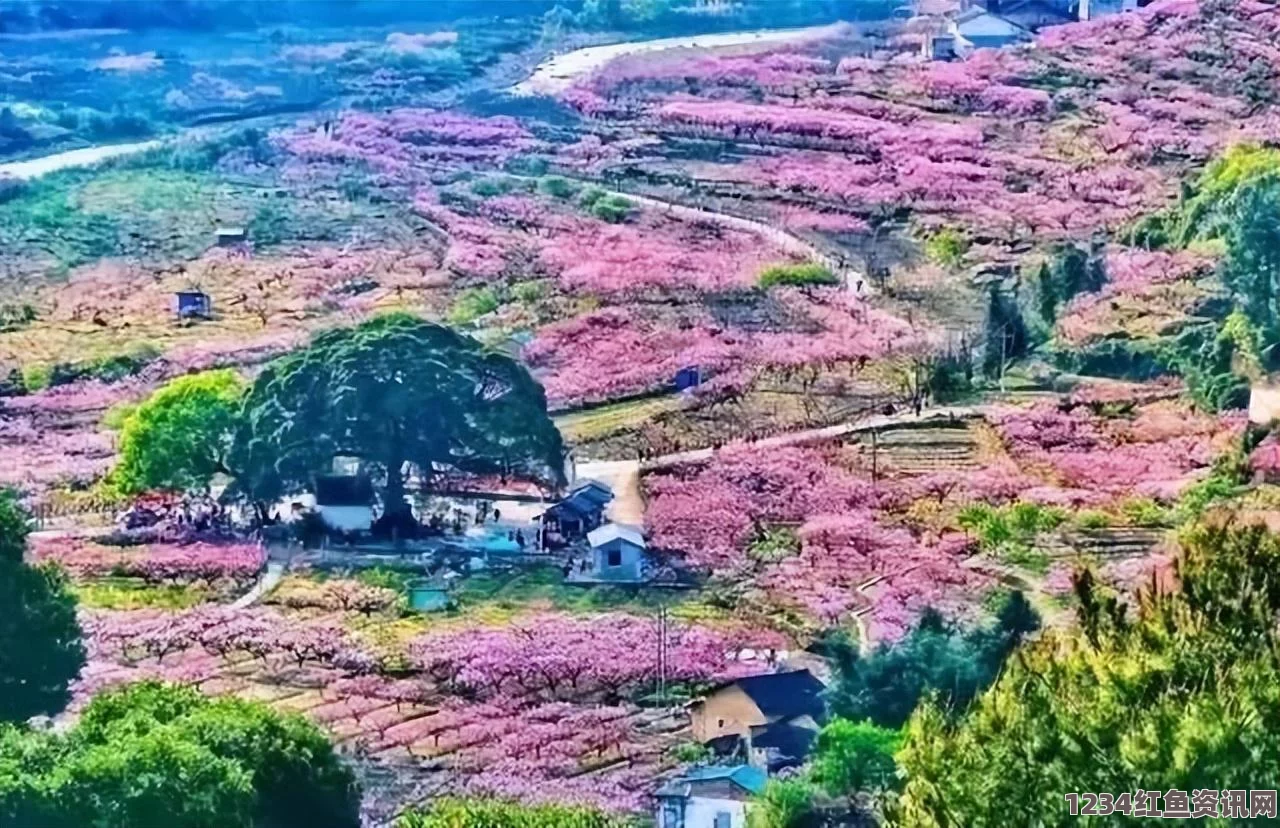 QQ飞车春日桃花盛开之际，永久四人座椅等你来赢