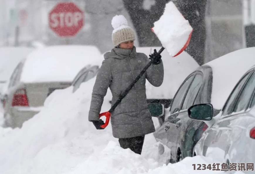 美东部遭遇罕见强降雪，多州紧急应对，进入紧急状态