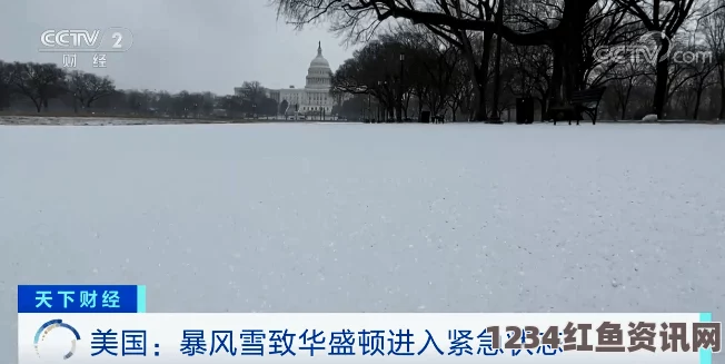 美东部遭遇罕见强降雪，多州紧急应对，进入紧急状态