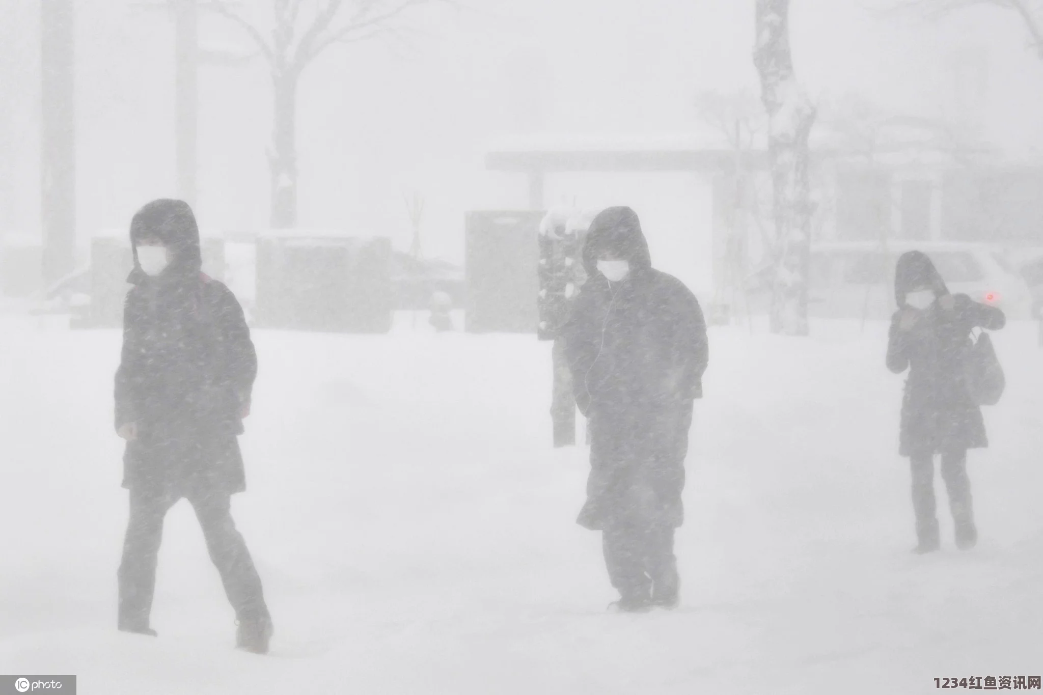 日本遭遇罕见暴风雪袭击，北海道居民不幸身亡事件纪实