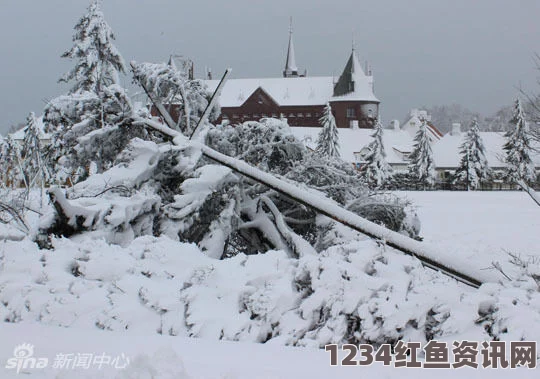 日本遭遇罕见暴风雪袭击，北海道一居民不幸身亡