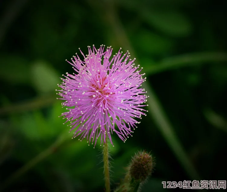 含羞草WWW中国在线资源人民网发布51吃瓜朝阳群众路线：探索影视武打片的激烈与刺激，引发观众热烈评价与讨论